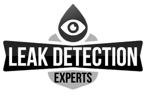 leak detection experts