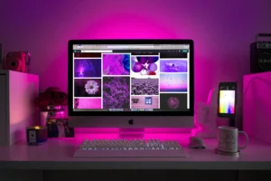 Why WordPress is the Top Choice for Australian Businesses 2024